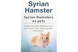 Syrian Hamster. Syrian Hamsters as pets. Syrian Hamsters Keeping, Pros and Cons, Care, Housing, Diet and Health.