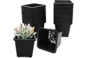 GGOUPTY Plastic Square Plant Pots 10 cm 30 Pcs Succulent Planter Nursery Pots for Flower Staring Seedling