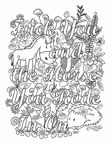 Memos to Shitty People: A Delightful & Vulgar Adult Coloring Book reviews Memos to Shitty People: A Delightful & Vulgar Adult Coloring Book