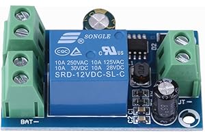 Walfront DC 12V-48V 10A Interruttore Automatico, Blu