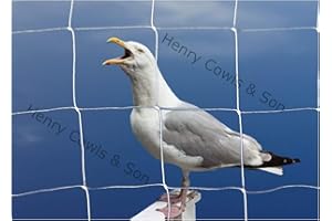 HENRY COWLS Bird Netting For the Garden 5m x 5m 75mm Anti Seagull Knotted 3" Mesh Heavy Duty White Net