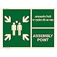 ASSEMBLY POINT in Hindi English Vinyl sticker Nulite APLR 0007A JG1_F