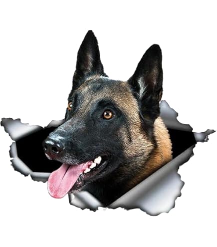 Autocollant Golden Retriever Effet 3D Déchiré - 15 Cm - Réfléchissant, Imperméable - Pour Voiture, Ordi, Frigo - Décoration Chien - 5