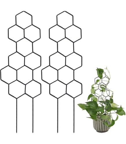 Rankhilfe Zimmerpflanzen Rankgitter Metall, 3 Stck Pflanzensttzen,  Vielfltige Stngelsttze, Pflanzenhalter Zubehr fr de Pflanzenanbau  Zimmer und Gartenpflanzen, Gold : Amazon.de: Garten