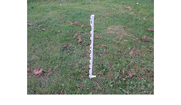 invisible fence amazon