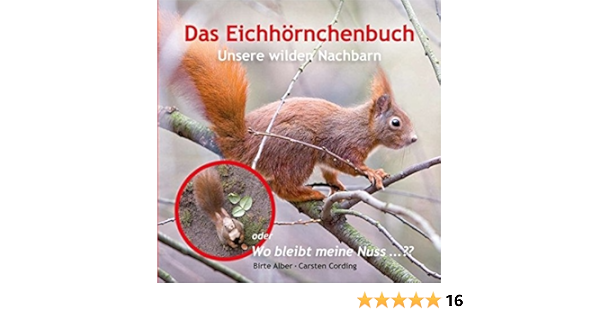 Das Eichhornchenbuch Unsere Wilden Nachbarn Oder Wo Bleibt Meine Nuss Amazon De Birte Alber Carsten Cording Bucher