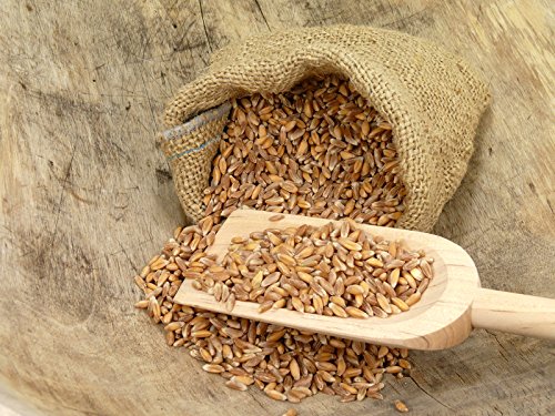 Jutesack 65cm x 135cm Kartoffelsack Getreidesack Sack aus Jute 100kg fassend - 6