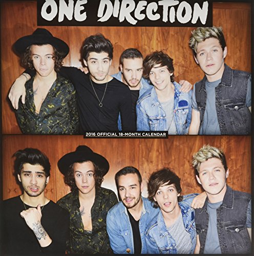 Preisvergleich Produktbild One Direction 2016 (Wall-Kalender)