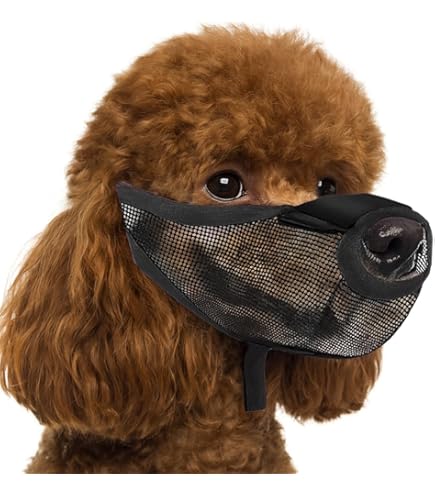 Trixie Protezione Esche Velenate Per Cani - Museruola In Poliestere Per Passeggiate Sicure - Foto 6