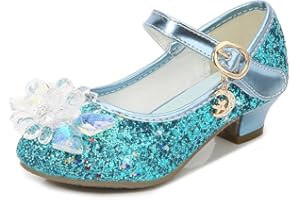 Eleasica Fille Cristal Fleur Chaussures de Princesse Reine des Neiges Elsa Anna Talons Plats Paillettes Déguisement Argenté Bleu Rose Doux Halloween Noël Anniversaire Carnaval Cosplay