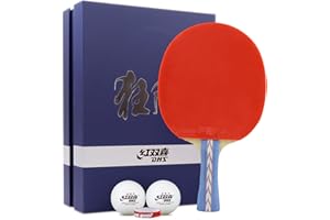 AMIRDE DHS Ping Pong Paddles Professional Table Tennis Racket with Hurricane Rubber Carrying Case - ITTF Approved Rubber for Tournament Play