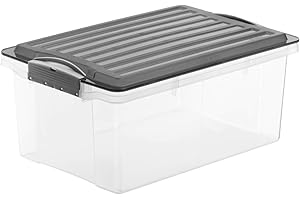 Rotho Compact Caja de almacenamiento 13l con tapa, Plástico (PP) sin BPA, gris/transparente, A4/13l (39.5 x 27.5 x 18.0 cm)