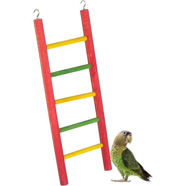 MinrzPet 2-Pack Spinning Bird Toys – Interactive Chew Toys For Budgies, Cockatiels, Lovebirds