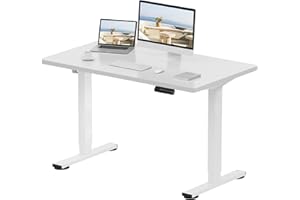 FLEXISPOT E1 Plus ONE PIECE Electric Standing Desk Height Adjustable Sit Stand Desk with Memory Smart Panel(120 * 60cm, White Frame+Maple Desktop)