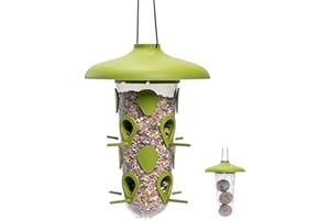 PLASTIA Mangeoire Oiseaux Exterieur Sauvages Suspendus - 2en1 Support De Boule De Graisse Oiseaux et pour des Graines Mélanger - Résistante aux Intempéries - Mangeoire à Oiseaux Transparent, Vert