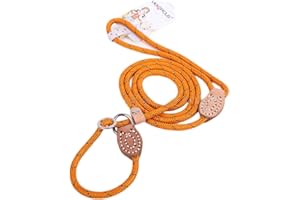 FEILING Corde Laisse pour Chien Laisse de Dressage d'entraînement 2 en 1 Collier Laisse Chien Lasso Sangle de Glissement 1.5M Longue éducative Formation l'Obéissance Corde d'escalade (L - 1.4cm, Jaune)
