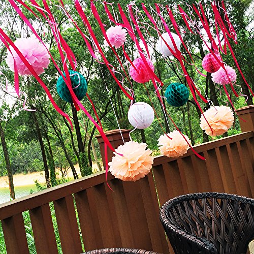 Eightnight Paper Craft Sets für DIY Party Dekorationen, Baby-Dusche, Festival einschließlich Circle Dot Girlanden, Tissue Papier Wabe Pom Pom Ball Laternen, Pom Pom Blumen, Bänder, Ballons - 3
