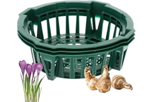 ‎PLASTIA Plastia Pflanzschalen für Blumenzwiebel ø 22 cm 3 St.