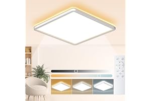 Wholede 24W 3240LM Plafoniera LED Soffitto, Lampadario LED Dimmerabile con Telecomando, 3000-6500K Lampadari Quadrata per Cucina, Bagno, Camera da Letto, Soggiorno, Balcone, Corridoio, Ufficio Ø29CM