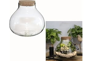 ‎ANNASTORE Annastore Pflanz-Terrarium mit LED-Beleuchtung H 14 cm oder 20 cm - Pflanzenglas - Flaschengarten - Pflanzenterrarium - Mini-Garten - Bonsai-Garten - Glas-Terrarium Größe Malia (H 14 cm - Ø 15,5 cm)