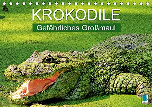 Preisvergleich Produktbild Krokodile: Gefährliches Großmaul (Tischkalender 2019 DIN A5 quer): Krokodile: Gepanzerte Gottheiten (Monatskalender, 14 Seiten ) (CALVENDO Tiere)