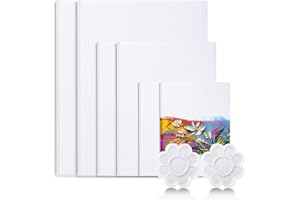 Viesap Lienzo, 6 PCS Lienzos Para Pintar Acrílico, 30x40, 20x30, 15x20 Paneles De Arte, 100% Algodón Lienzo Para Pintar, Paneles Cuadrados, Set Preestirado Blanco