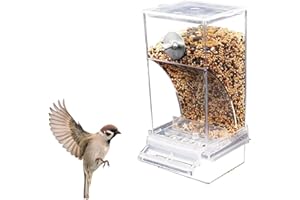 Blogiiup Faisseur de Cage à Oiseaux, mangeoire à Oiseaux Automatique avec Perche, mangeoire de graines de Perroquet Transparent, Distributeur de graines d'oiseaux pour Petit Perruche Moyen canarien