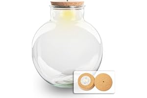 URBANJNGL Terrarium avec Lampe - Terrarium fermé ↑ 30 cm