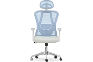 naspaluro Silla de Oficina Ergonómica, Silla de Escritorio con Soporte Lumbar, Reposacabezas y Reposabrazos Ajustable, Ajuste de Altura, Silla de Malla Silla Giratoria, Inclinación, Gris+Azul