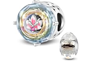 HappyStar Argent Sterling 925 Personnalisé Insectes Pendentif perles trèfles quatre feuilles fleurs pour femmes compatibles bracelets européens colliers Pandora (avec une perle d'espace)