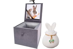 UMBERDOM Ceramic Pet Urn for Ashes, Bunny Urn Handicrafted Ashes Keepsake Memorial Gift, Ashes Holder with Photo Display Box for Rabbit Small Pets (Matte White, S Size, Rabbit)