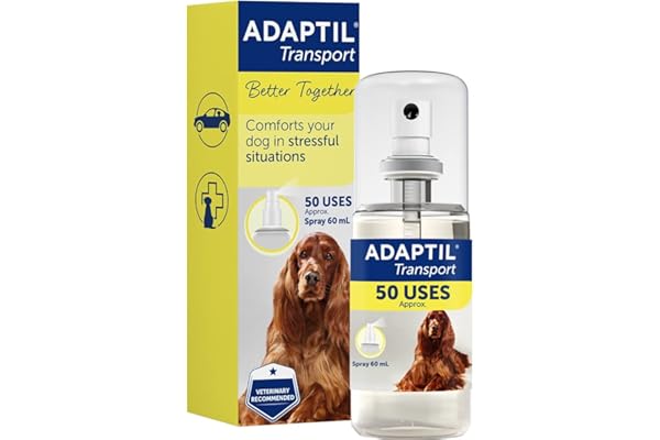 Everyday Health: Trusted Medical Information, Expert Health Advice ... - Pain Medication For Dogs With Anxiety