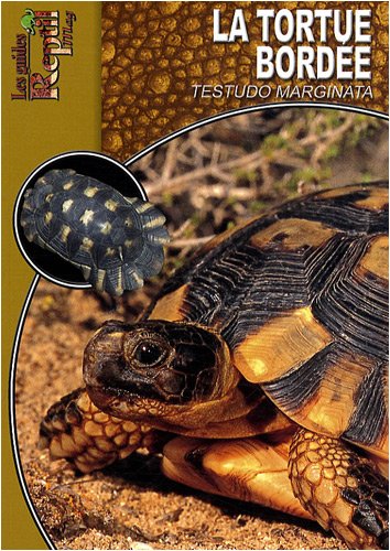 Download La Tortue Bordée: Testudo Marginata