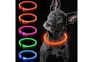 iTayga leuchthalsband Hund, USB-aufladbar und wasserdicht hundehalsband, verstellbare Länge, Sicherheitshalsband für Hunde und Katzen, 3 Modi, Orange