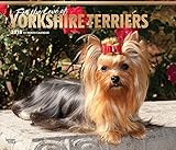 Yorkshire Terriers - For the Love of - Yorkies 2018 - 18-Monatskalender mit freier DogDays-App: Original BrownTrout-Kalender - Deluxe [Mehrsprachig] [Kalender] (Deluxe-Kalender) by 