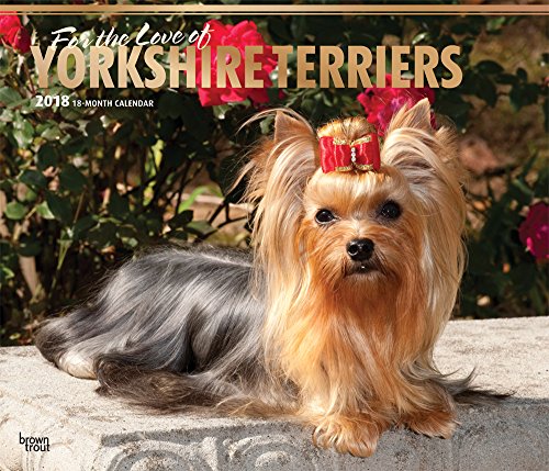 Yorkshire Terriers - For the Love of - Yorkies 2018 - 18-Monatskalender mit freier DogDays-App: Original BrownTrout-Kalender - Deluxe [Mehrsprachig] [Kalender] (Deluxe-Kalender)