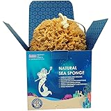 Jordan Benedict - Spugna marina naturale, per bagno e doccia, per adulti, bambini e neonati