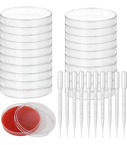 Produktbild von KSJEHW 6er-Pack Sterile Petrischalen Aus Kunststoff, 70 Mm Mit Deckel – Für Bakterienkultur Im Labor & Schule