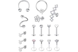 Rajnard Helix Piercing Tragus Cartilage en Acier Chirurgical Piercing d'oreille Cartilage 16G CZ Piercing Bijoux Femmes Hommes Argent