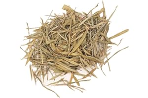 REPTILES PLANET - Repti Bamboo Leaves - Feuilles de Bambou Naturelles - 2 litres, Marron Clair