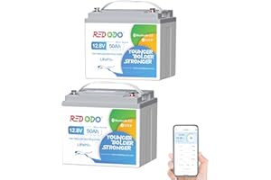 Redodo 12V 50Ah Bluetooth（2 Pack）Batteria Litio,Batterie Lifepo4 per Trolling Motor, Protezione a Bassa Temperatura,Leggera e Portatile, Perfetta per RV,Solare,Barca,Marina,Campeggio