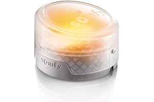 Somfy 2401584 - Feu clignotant à LED orange ou blanc pour portail ou porte de garage motorisés | Choix du clignotement orange ou blanc