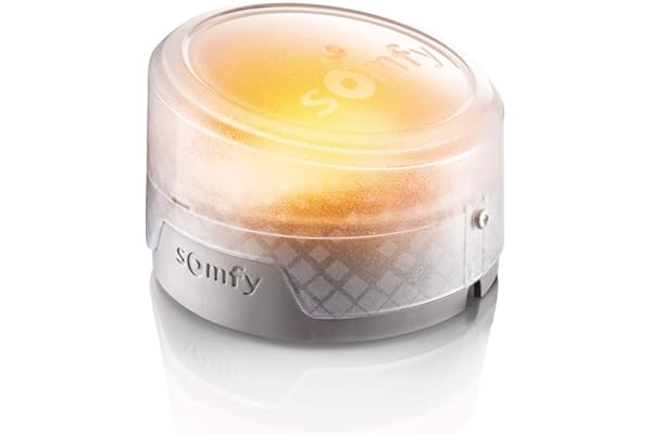 somfy 2401584 - Feu clignotant à LED orange ou blanc pour portail ou porte de garage motorisés | Choix du clignotement orange ou blanc