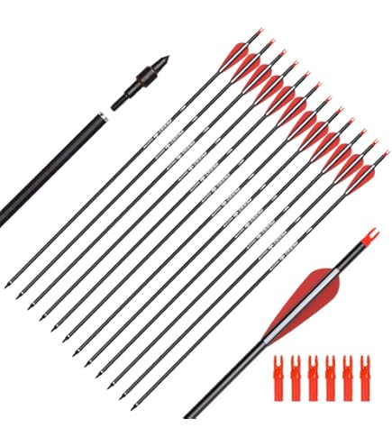 Arco Compuesto Puntos De Tiro Con Arco Rurvo Y Puntas De Flha Peso