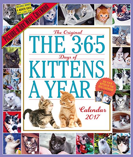 The 365 Kittens-A-Year Wall Calendar 2017