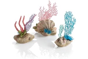 Oase 72676 biOrb zestaw wachlarzy z koralu i muszli, 325 g