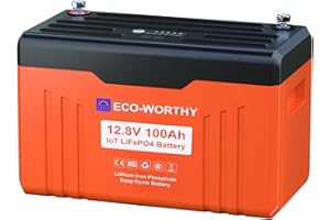 ECO-WORTHY 12V 100Ah LiFePO4 Bluetooth mit Display V2.0,1280Wh Lithium batterie 12V mit 100A BMS Low Temperature Schutz für Boot,Wohnwagen,Wohnmobil