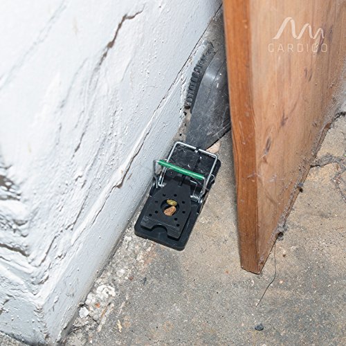 Gardigo Mausefalle 10er Set - 7