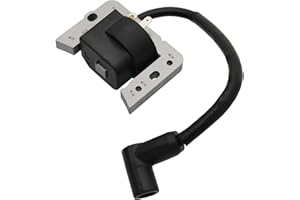 Raogoodcx Tecumseh 34443 34443A 34443B 34443C 34443D Ignition Coil Solid State Module for Tecumseh AV520 LH195 OH195 TH139 TV085 TVM140 TVXL840 VLV126 LEV100 LEV115 LEV120 LV148A OVRM105 OVRM120