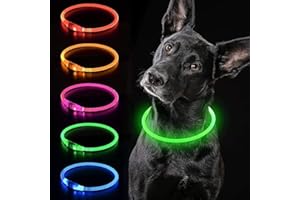 iTayga leuchthalsband Hund, USB-aufladbar und wasserdicht hundehalsband, verstellbare Länge, Sicherheitshalsband für Hunde und Katzen, 3 Modi, Grün